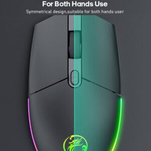 souris ambidextre imice